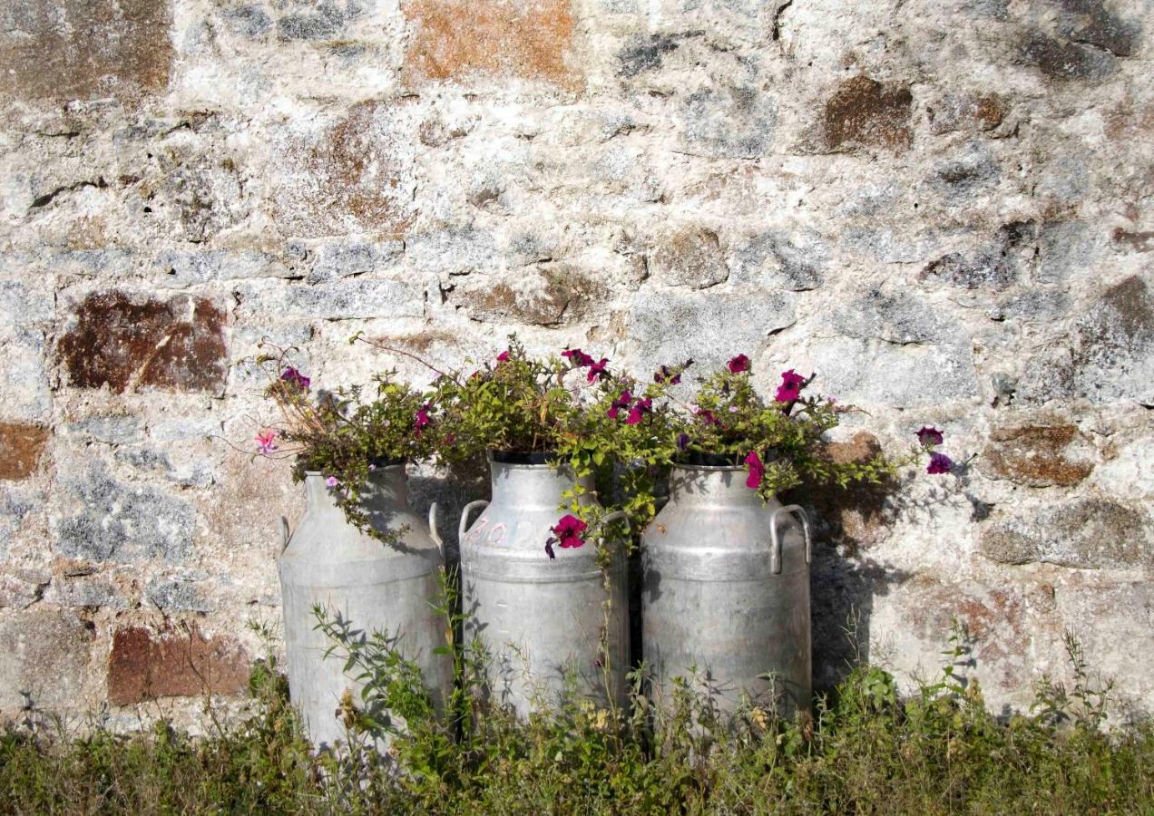 Bramble Cottage Rathfriland 외부 사진